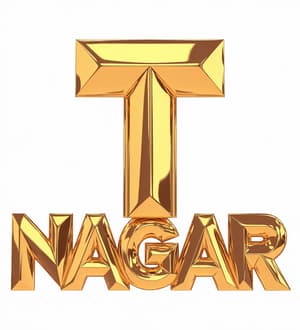 T Nagar